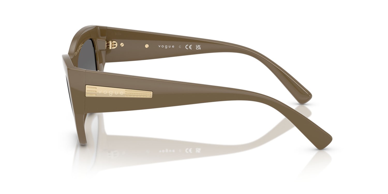 Occhiali da sole Vogue VO 5607S (317511) colore marrone pieno forma irregolare lenti grigio scuro sfumato