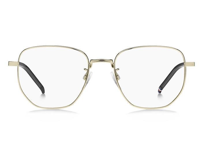 Brillen Tommy Hilfiger TH 2009/F 106913 (J5G) form geometrisch 