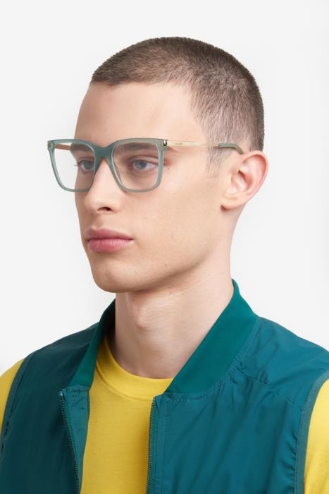 Eyeglasses Polaroid Pld D528 108135 (1ED) color green shape square 