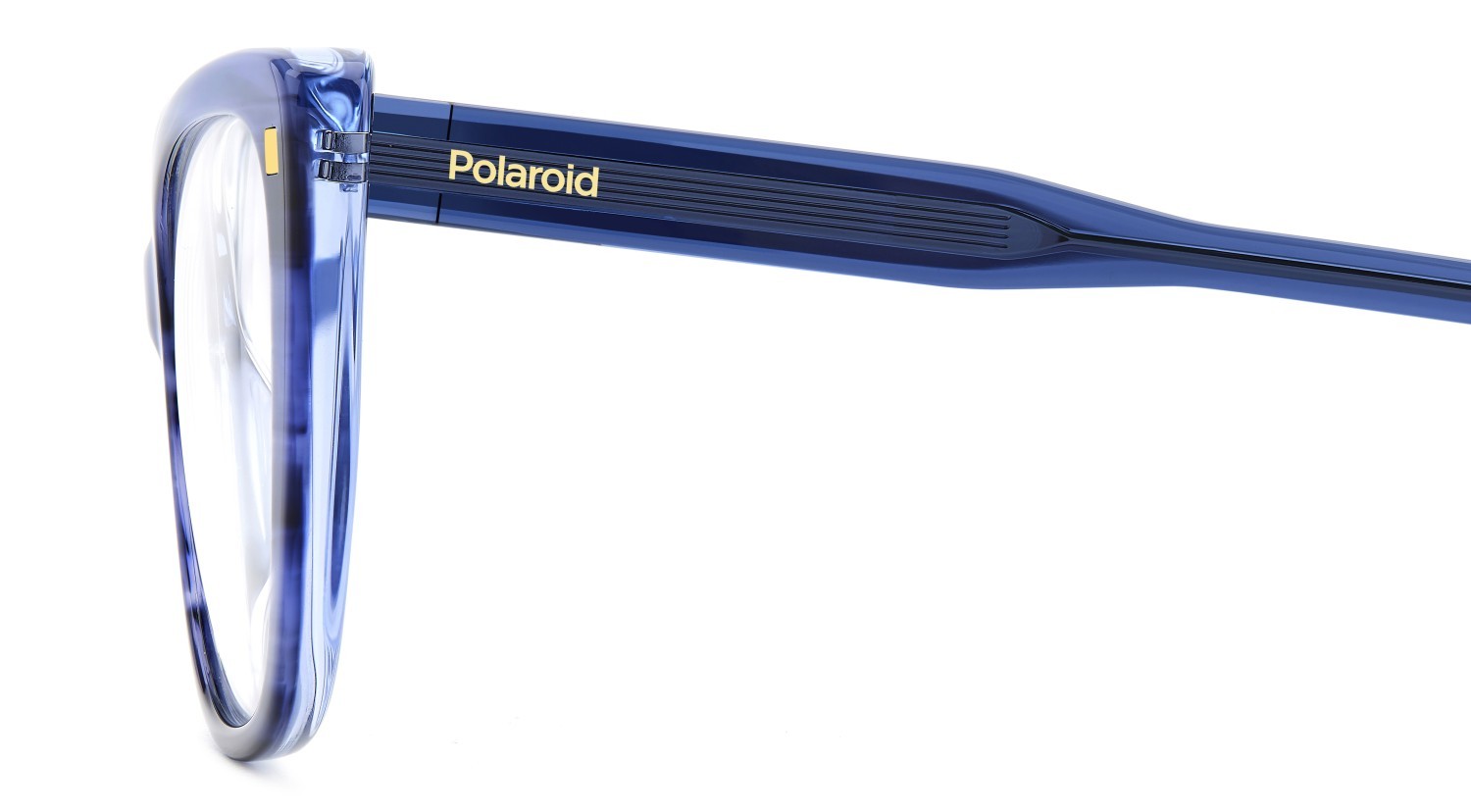 Eyeglasses Polaroid Pld D542 108826 AVS color striped blue shape rectangle 
