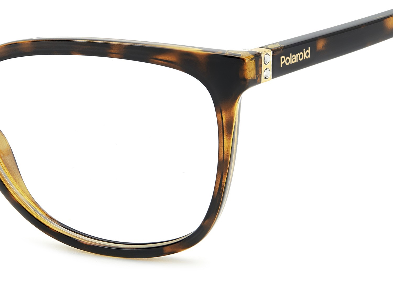 Eyeglasses Polaroid Pld D544 108828 086 color havana shape rectangle 
