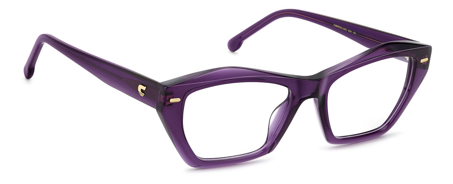 Brillen Carrera 3053 109025 (B3V) farbe violet form rechteckig 