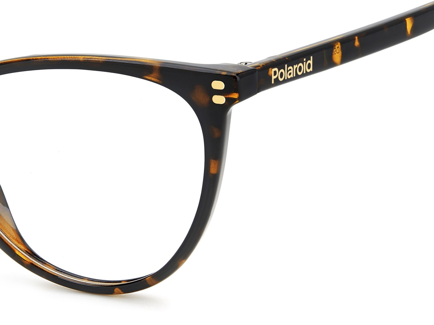 Eyeglasses Polaroid Pld D551 109334 086 color havana shape cat eye 