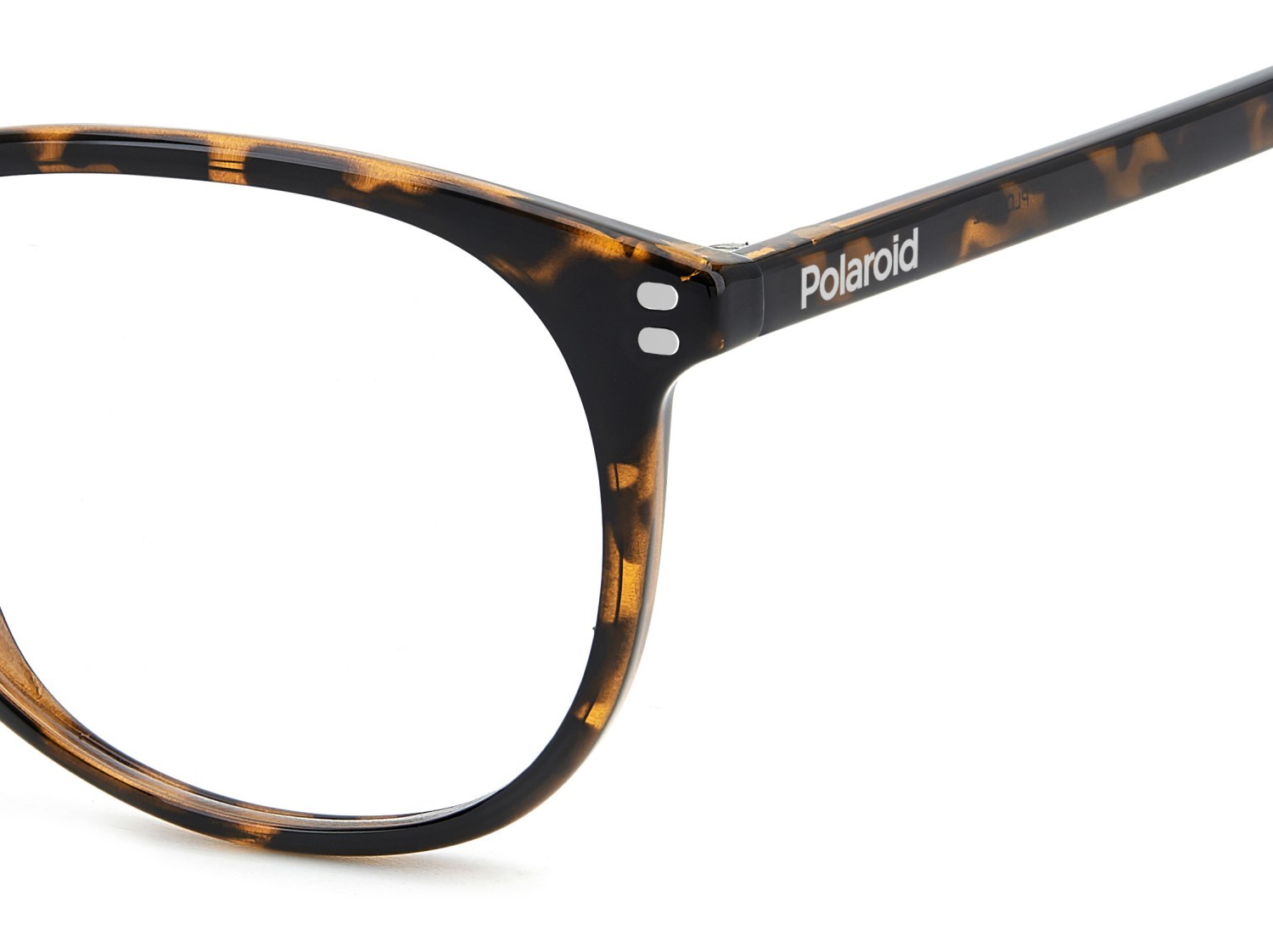 Eyeglasses Polaroid Pld D552 109338 086 color havana shape rectangle 