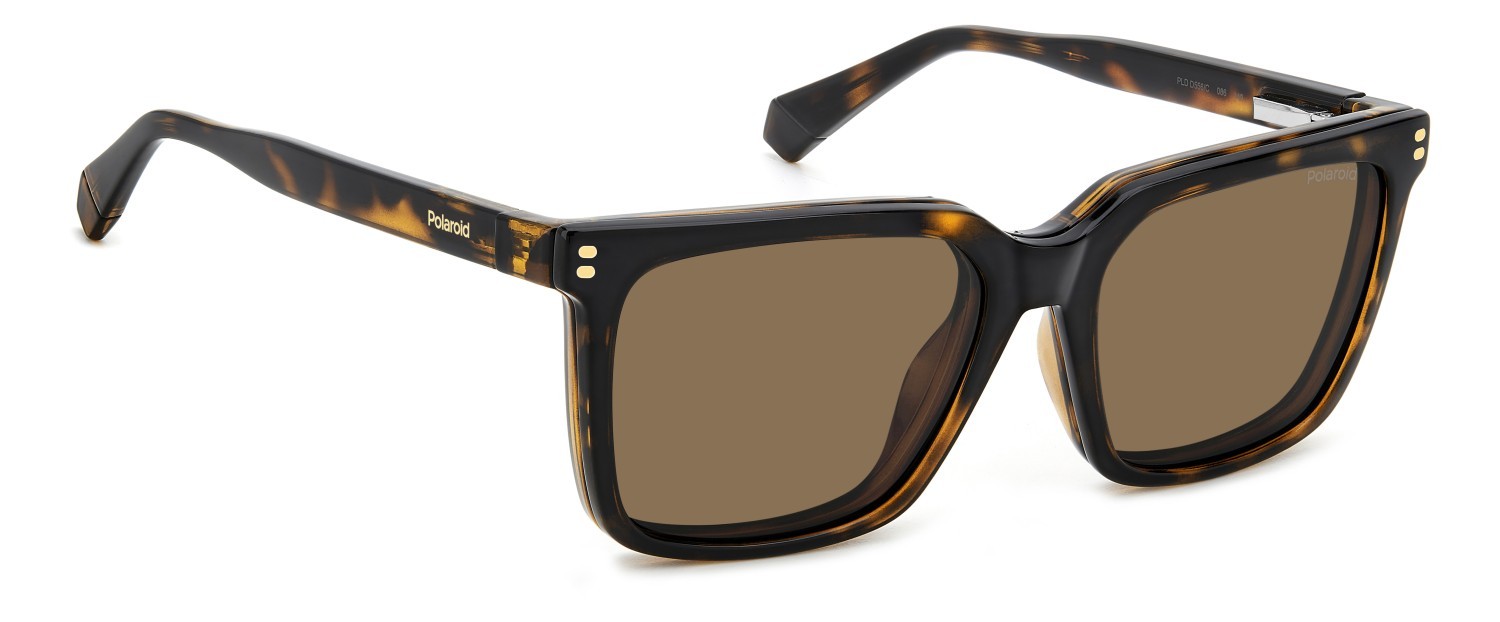 Eyeglasses Polaroid Pld D556/C 109341 086 color havana shape rectangle lenses bronze polarized