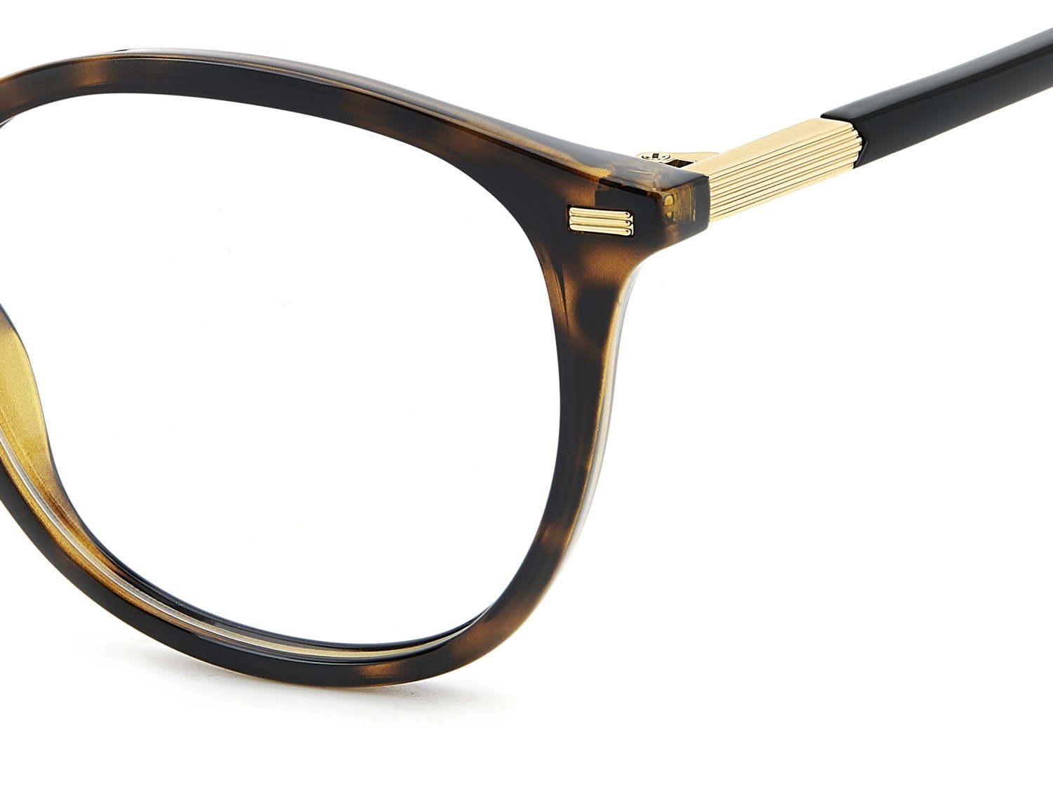 Eyeglasses Polaroid Pld D562 109347 086 color havana shape rectangle 