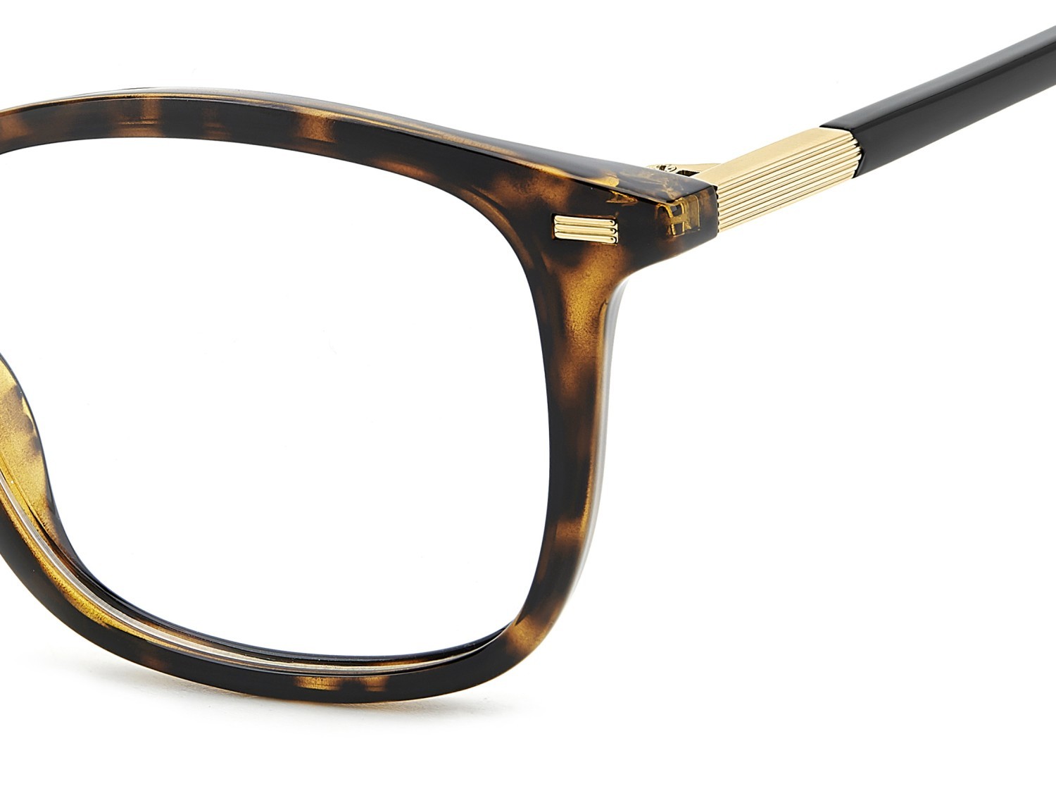 Eyeglasses Polaroid Pld D563 109348 086 color havana shape rectangle 