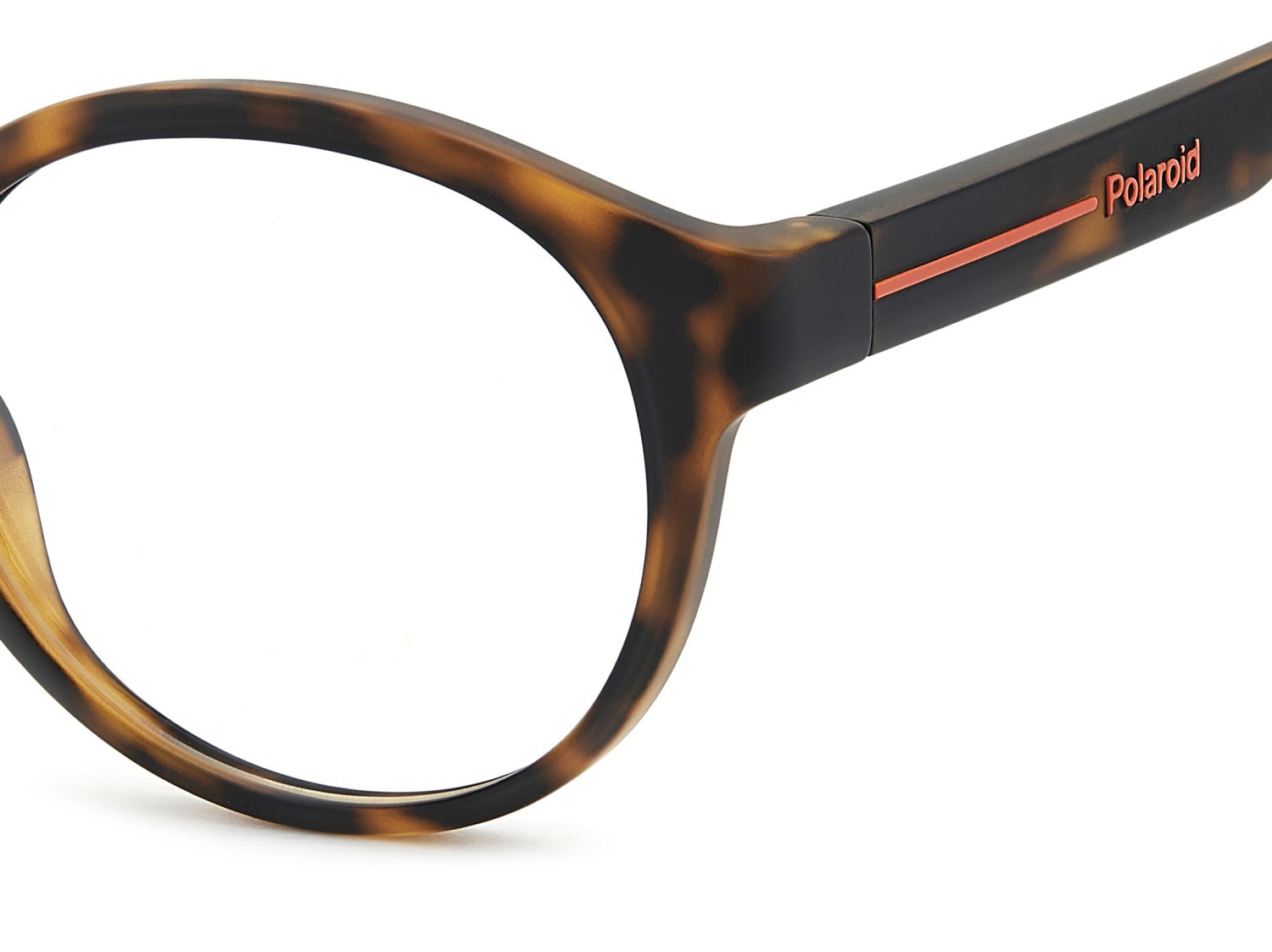 Eyeglasses Polaroid Pld D568 109349 N9P color matte havana shape pantos 
