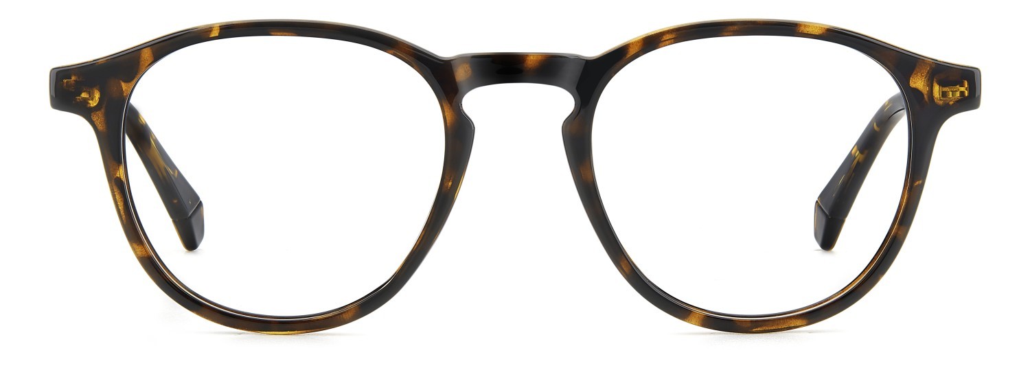 Eyeglasses Polaroid Pld D561 109352 086 color havana shape rectangle 