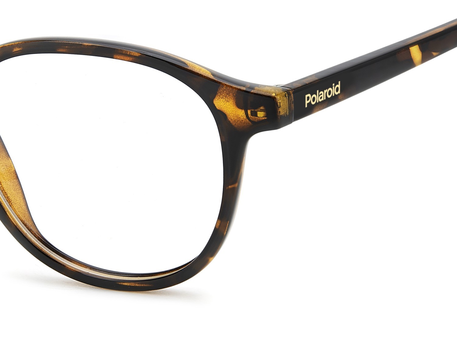 Eyeglasses Polaroid Pld D561 109352 086 color havana shape rectangle 