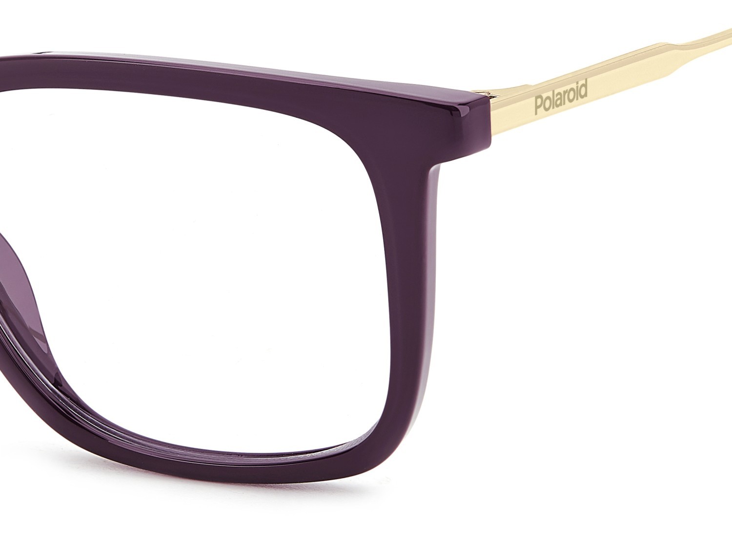Eyeglasses Polaroid Pld D565 109354 LHF color burgundy shape rectangle 