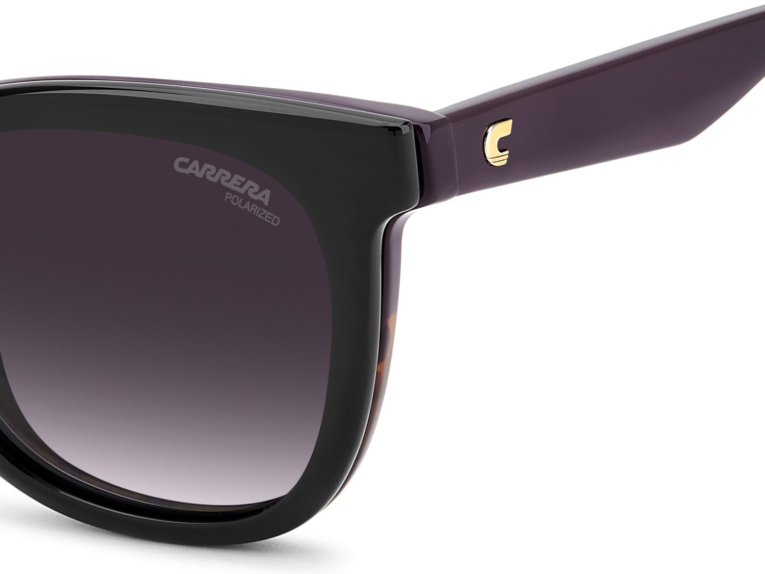 Eyeglasses Carrera Ca 3098/C 111662 HKZ color violet havana shape square lenses grey shaded polarized