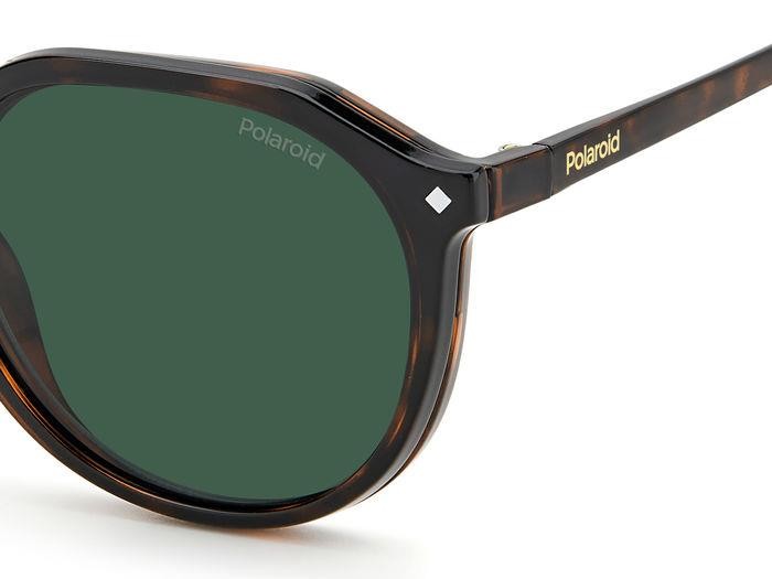 Brillen Polaroid PLD 6165/CS 204815 (086 UC) farbe havana form rund gläser green polarized