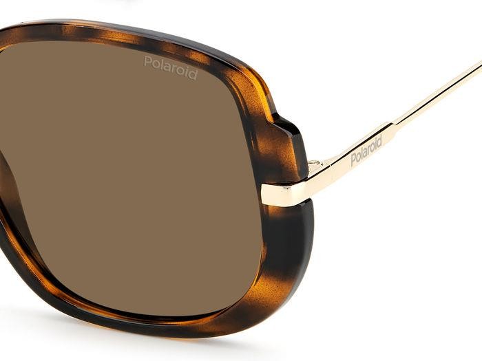 Sonnenbrillen Polaroid PLD 6181/S 205140 (086 SP) farbe havana form rund gläser bronze polarized