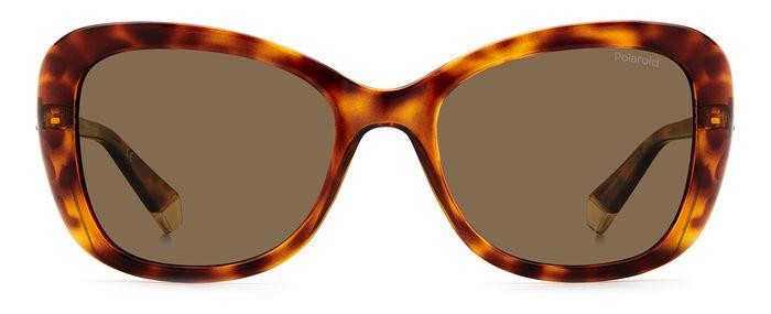 Sonnenbrillen Polaroid PLD 4132/S/X 205334 (086 SP) farbe avana form rund gläser bronze polarized