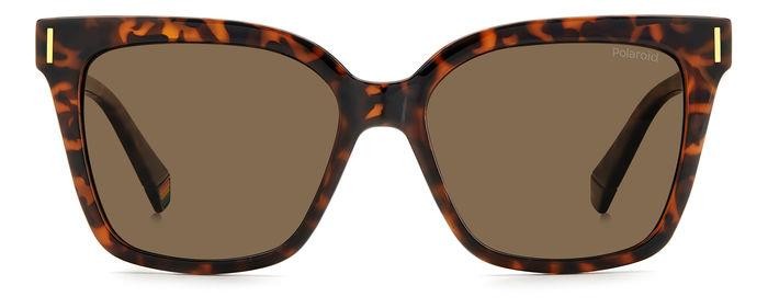Sunglasses Polaroid PLD 6192/S 205689 (086 SP) color havana shape cat eye lenses bronze polarized