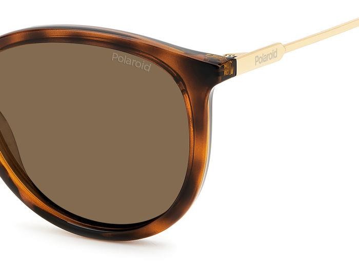 Sonnenbrillen Polaroid PLD 4143/S/X 205701 (086 SP) farbe havana form rund gläser bronze polarized
