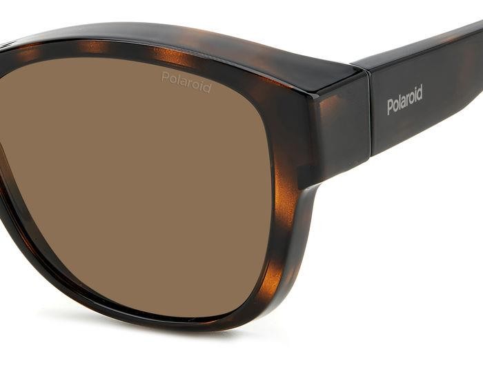 Sunglasses Polaroid Ancillares PLD 9019/S 205732 (086 SP) color havana shape round lenses bronze polarized