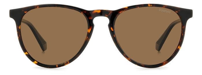 Sunglasses Polaroid Pld 4152/S 206382 (086 SP) color havana shape pantos lenses bronze polarized
