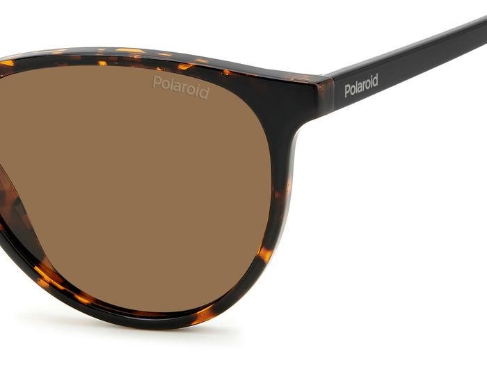 Sunglasses Polaroid Pld 4152/S 206382 (086 SP) color havana shape pantos lenses bronze polarized