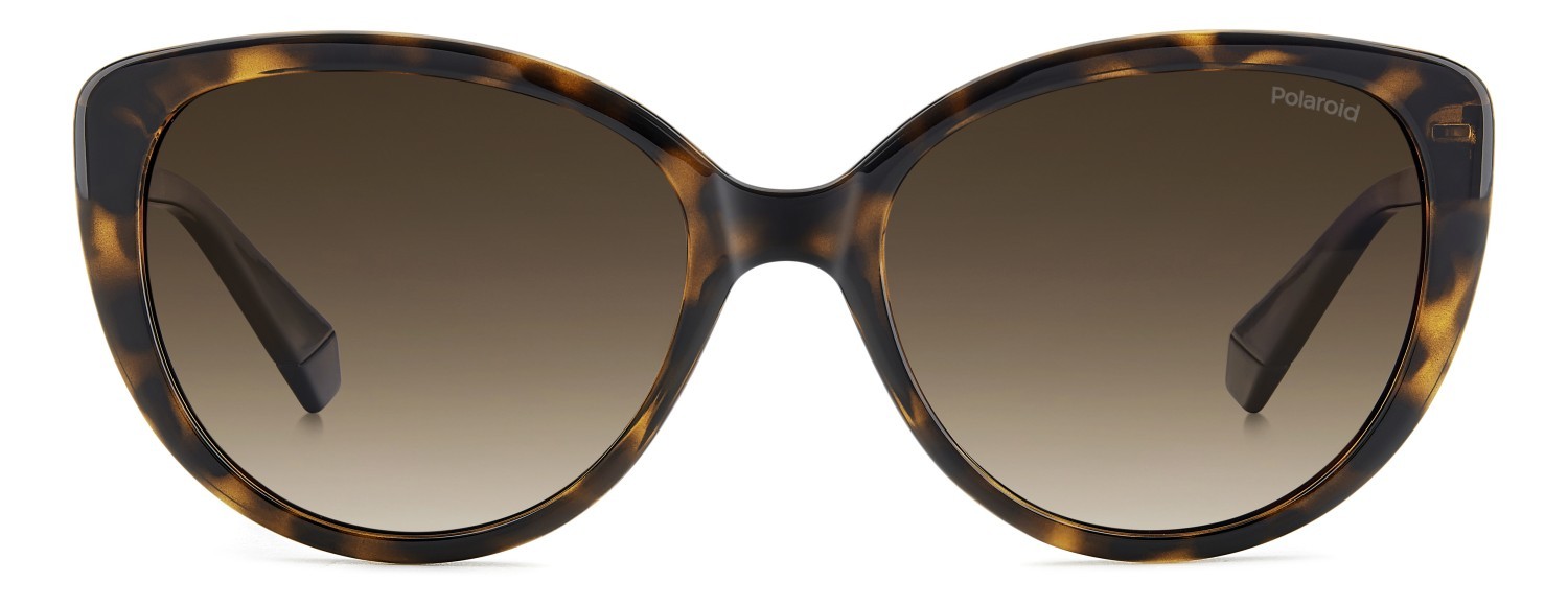 Sunglasses Polaroid Pld 4176/S 207366 086 LA color havana shape cat eye lenses brown shaded polarized