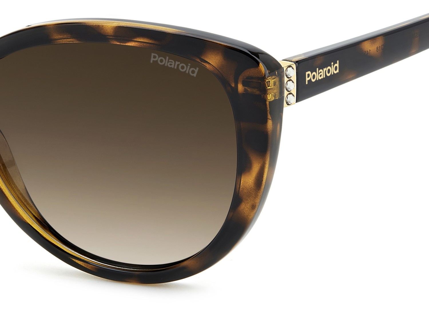 Sunglasses Polaroid Pld 4176/S 207366 086 LA color havana shape cat eye lenses brown shaded polarized
