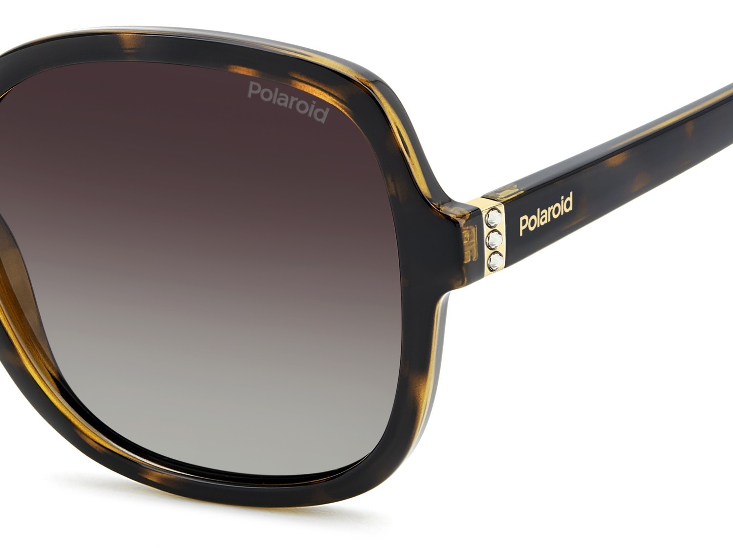 Sunglasses Polaroid Pld 4177/S 207367 086 LA color havana shape square lenses brown shaded polarized