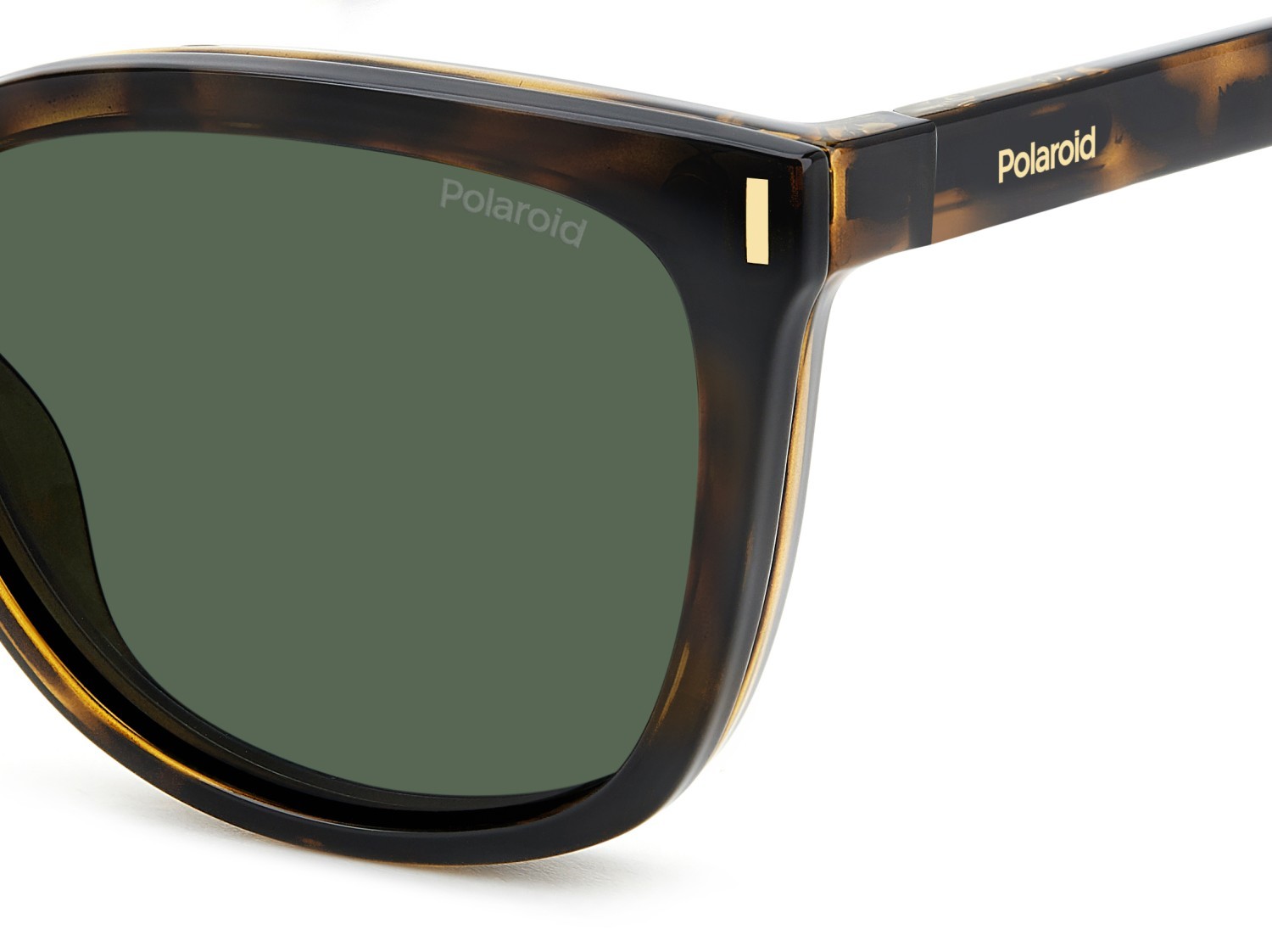 Eyeglasses Polaroid Pld 6229/CS 207375 086 color havana shape rectangle lenses green polarized