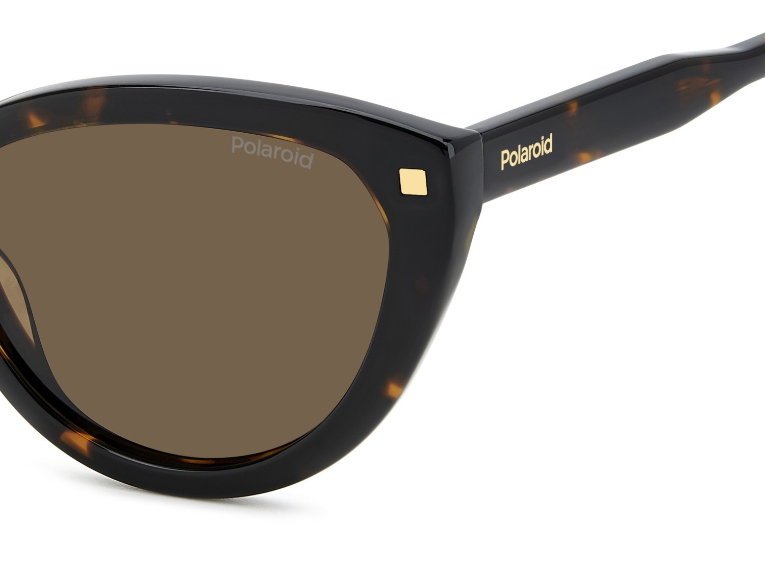 Sunglasses Polaroid Pld 4175/S 207381 086 SP color havana shape cat eye lenses bronze polarized
