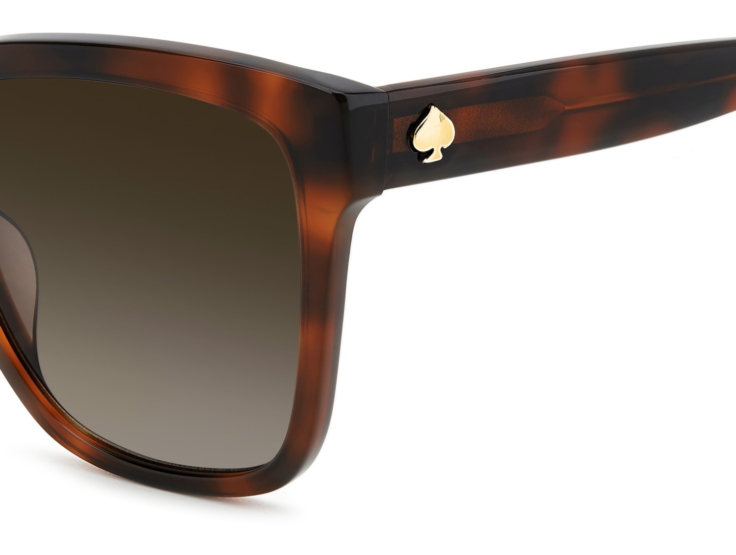 Sonnenbrillen Kate Spade Ks Kiya 2/G 207635 086 HA farbe havana form quadratisch gläser brown shaded