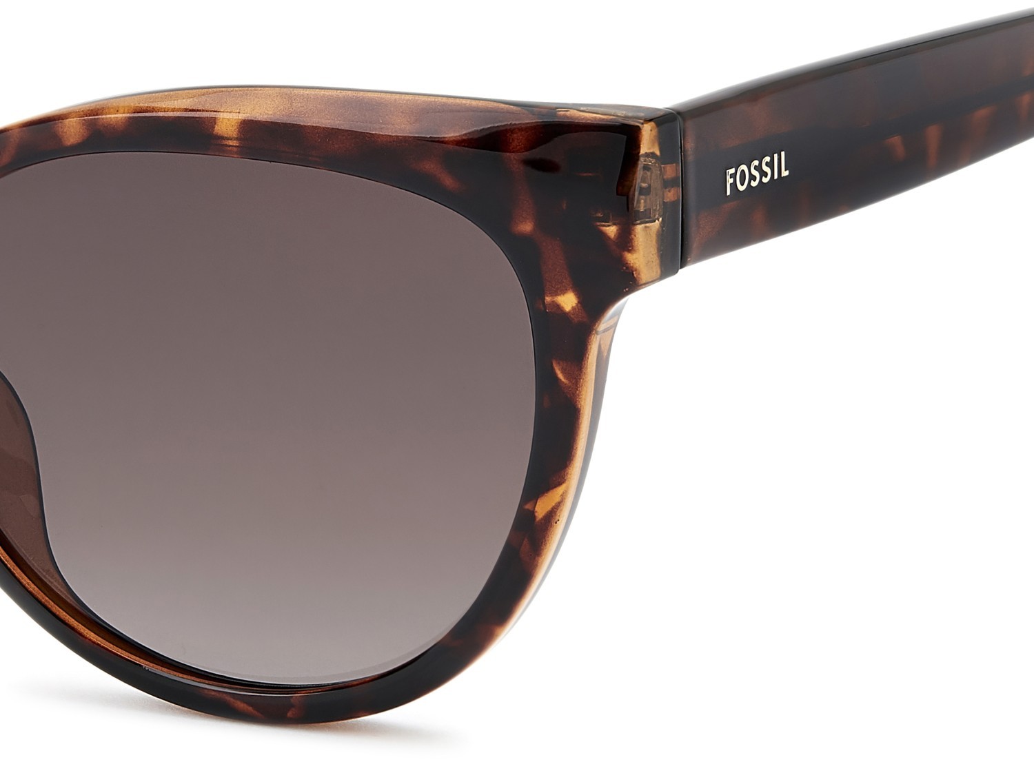 Sunglasses Fossil Fos 3172/S 207755 086 HA color havana shape cat eye lenses brown shaded