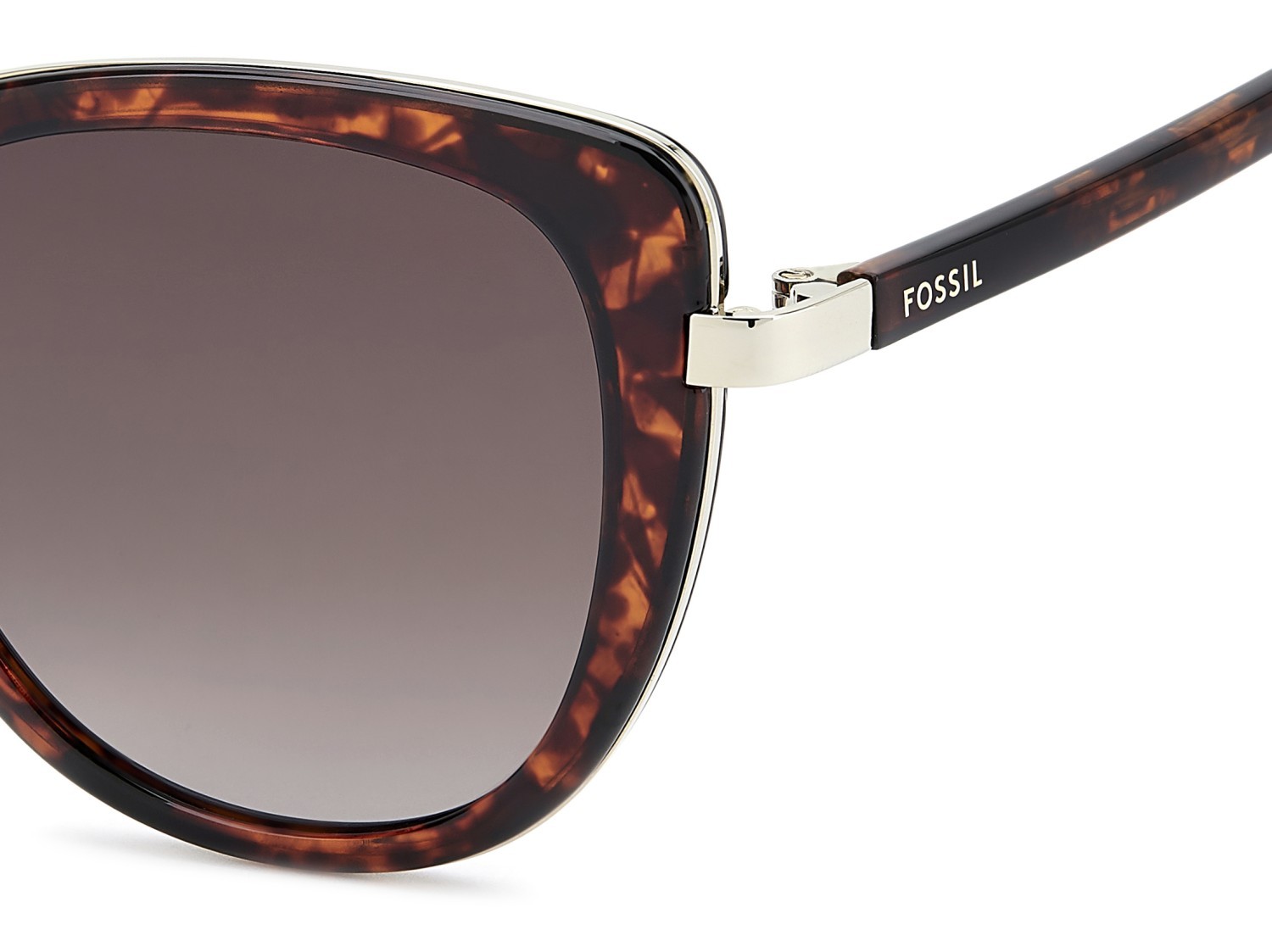 Sonnenbrillen Fossil Fos 2158/G 207759 086 HA farbe havana form cat-eye gläser brown shaded