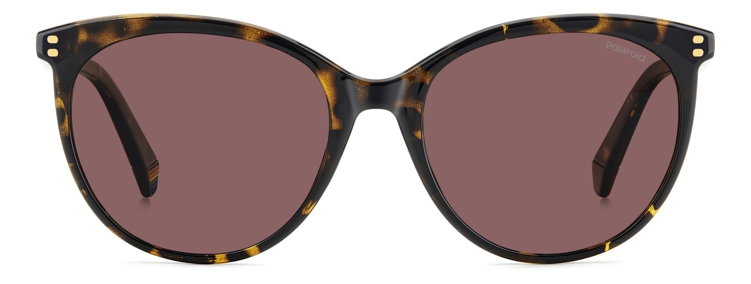 Sunglasses Polaroid Pld 6231/S 207830 086 KL color havana shape cat eye lenses violet polarized