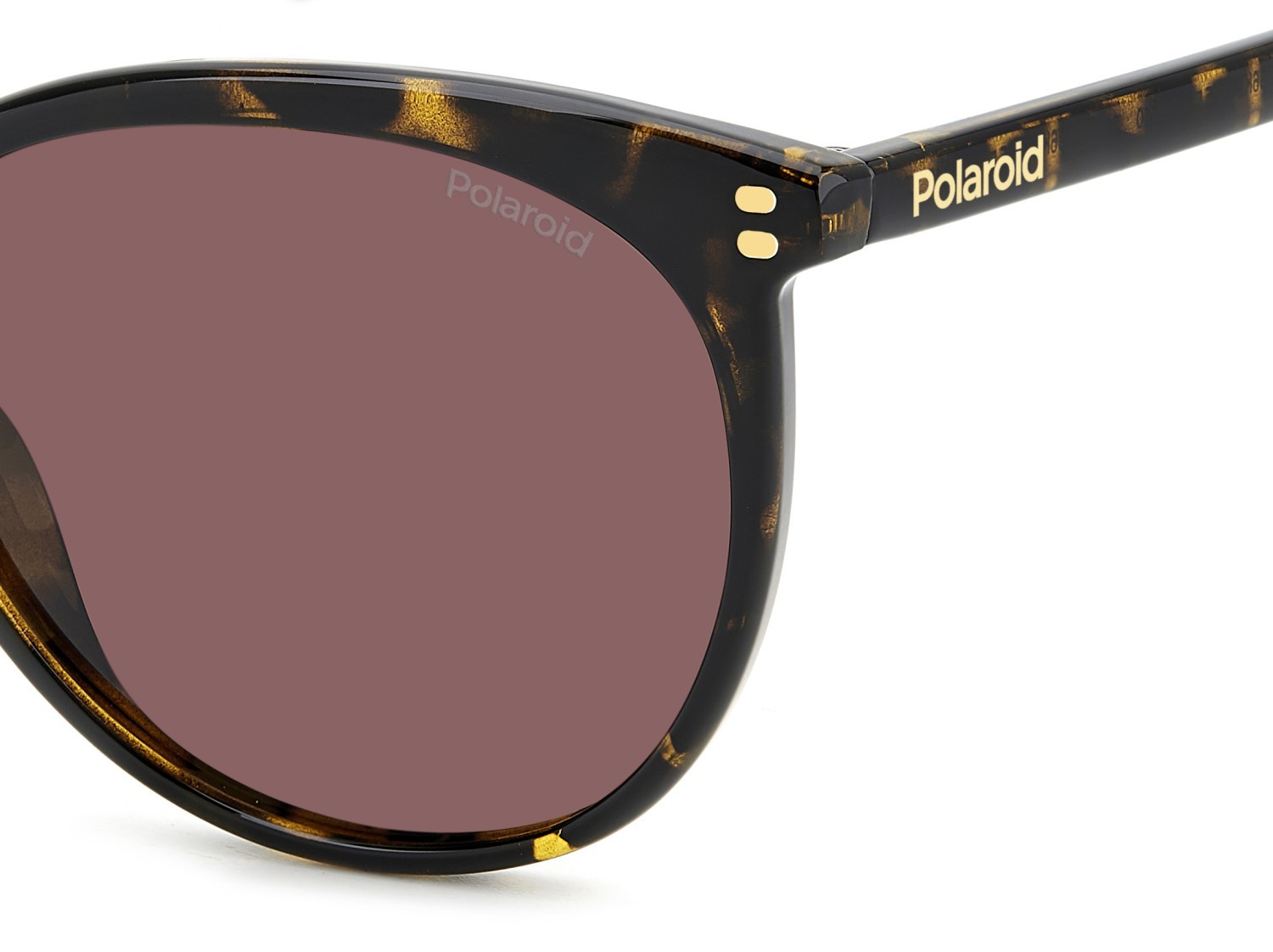 Sunglasses Polaroid Pld 6231/S 207830 086 KL color havana shape cat eye lenses violet polarized