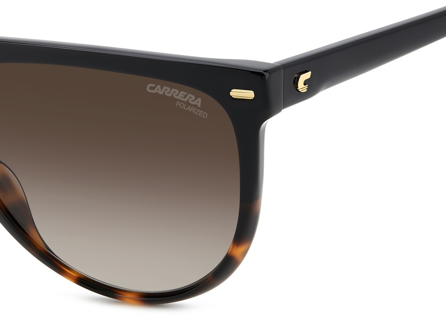 Sonnenbrillen Carrera 3055/S 207948 W4A LA farbe black shaded havana form rechteckig gläser brown shaded polarized