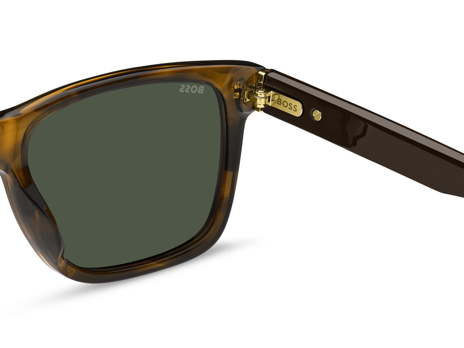 Sunglasses Hugo Boss 1759/G 207995 EX4 UC color brown horn shape rectangle lenses green polarized