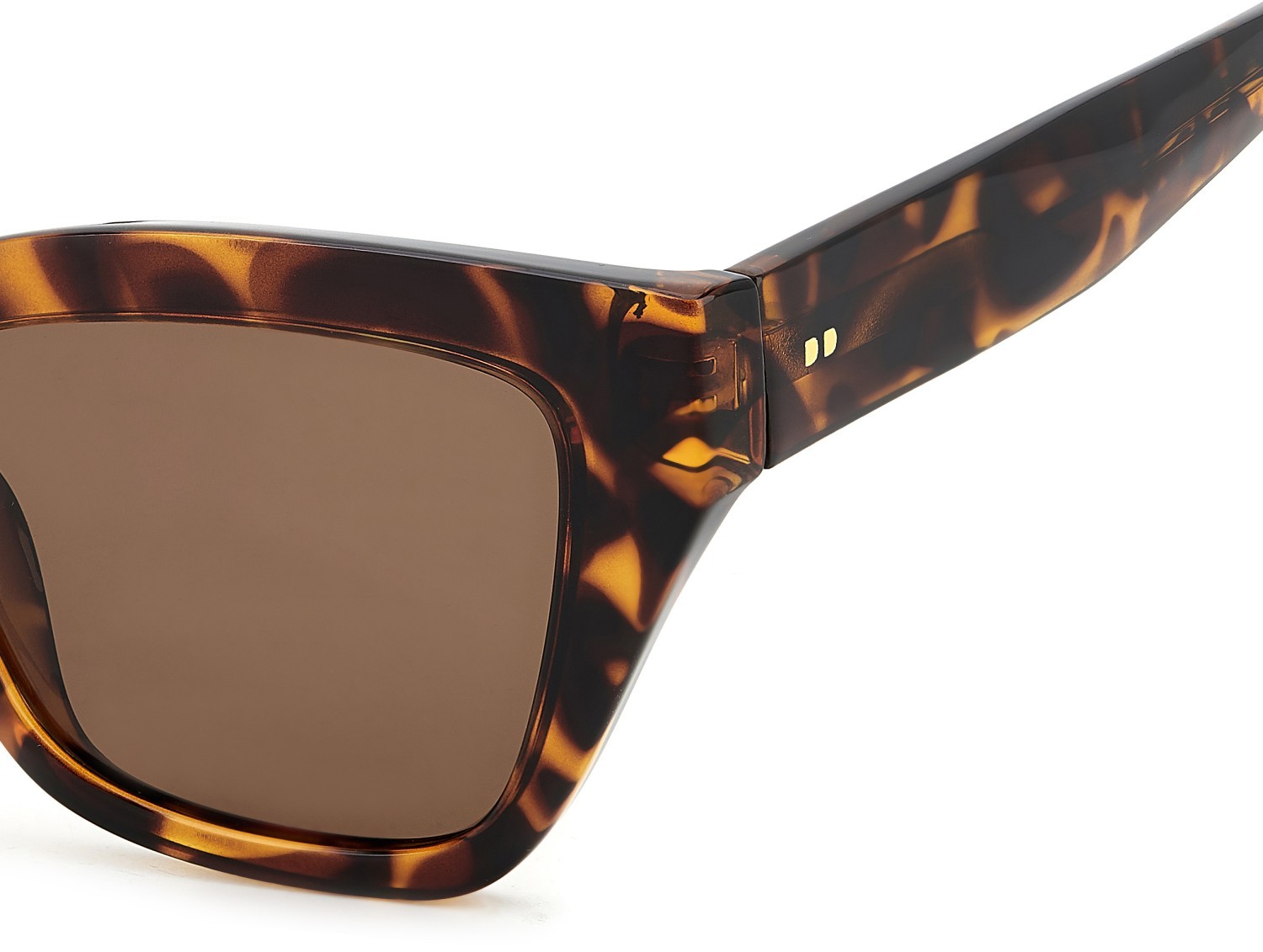 Sunglasses Privé Revaux Sun State/S 208119 086 SP color havana shape cat eye lenses bronze polarized