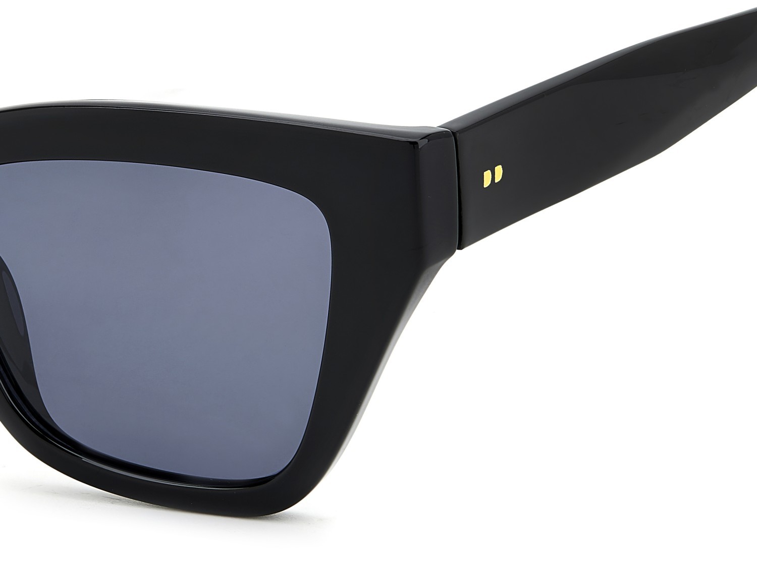 Sunglasses Privé Revaux Sun State/S 208119 807 M9 color black shape cat eye lenses grey polarized