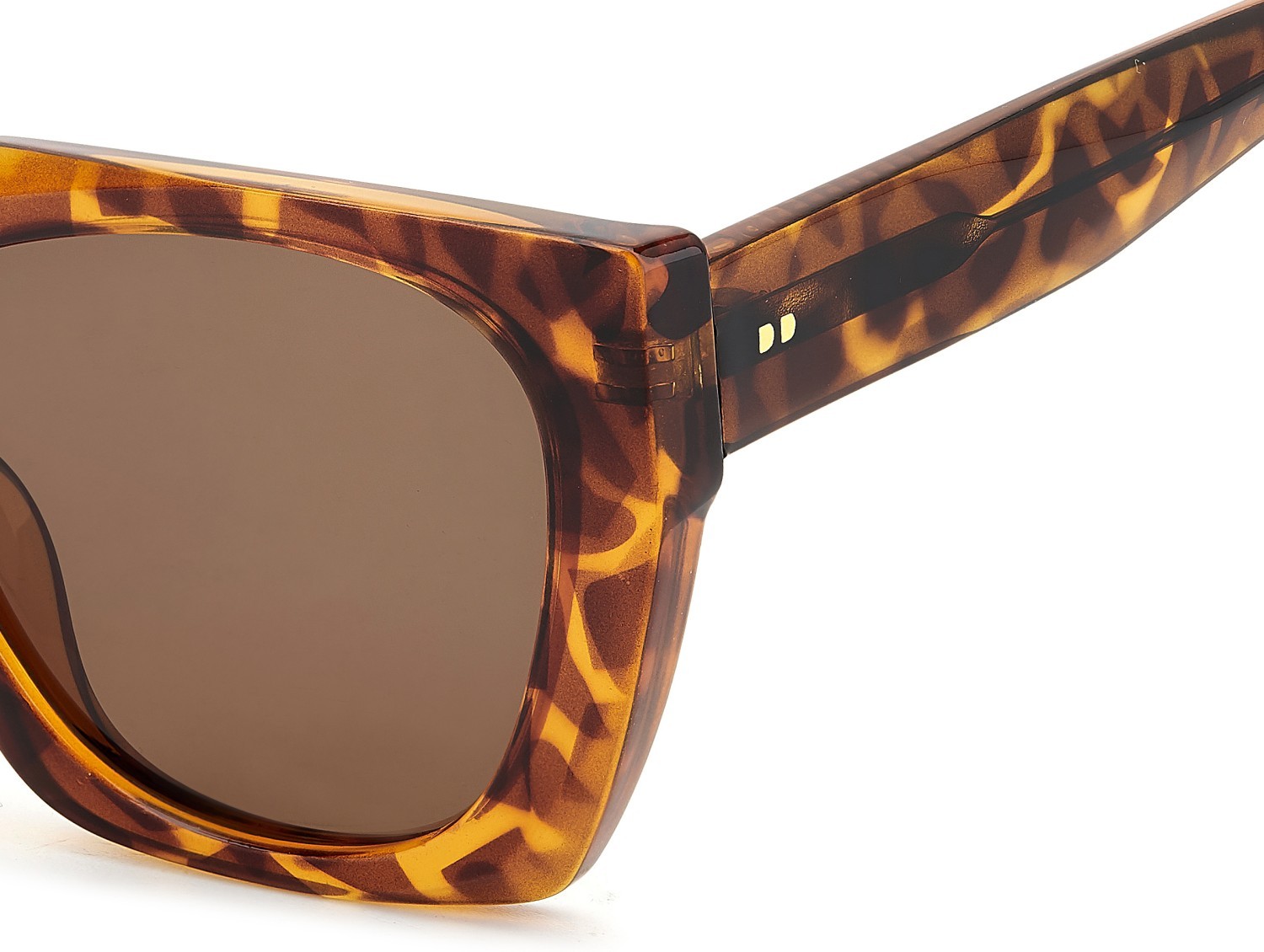 Sunglasses Privé Revaux Tropic Nights/S 208120 086 SP color havana shape square lenses bronze polarized