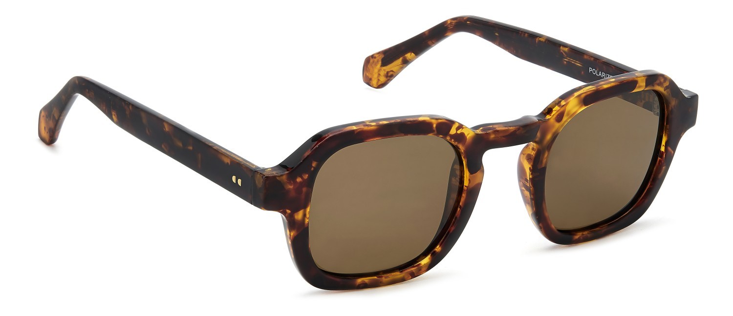 Sunglasses Privé Revaux Lift Off/S 208123 086 SP color havana shape square lenses bronze polarized