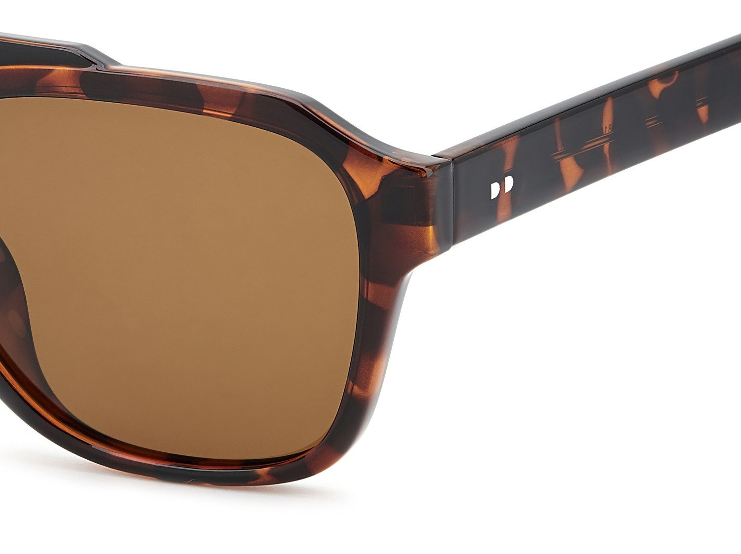 Sunglasses Privé Revaux Dream Finder/S 208129 581 SP color havana black shape navigator lenses bronze polarized