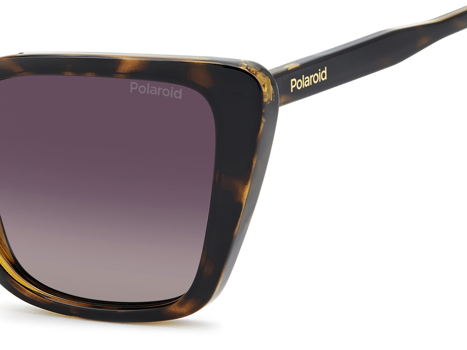 Sunglasses Polaroid Pld 4189/S 208267 086 JR color havana shape butterfly lenses burgundy shaded polarized