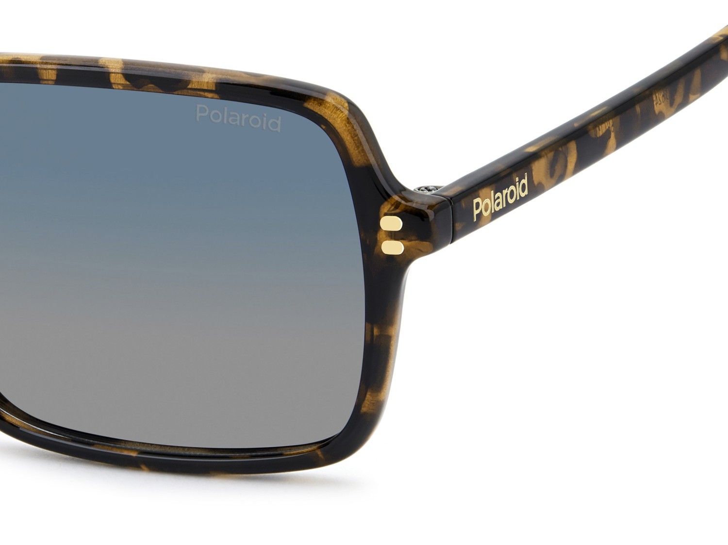 Sonnenbrillen Polaroid Pld 6247/S 208282 086 Z7 farbe havana form quadratisch gläser blue shaded polarized