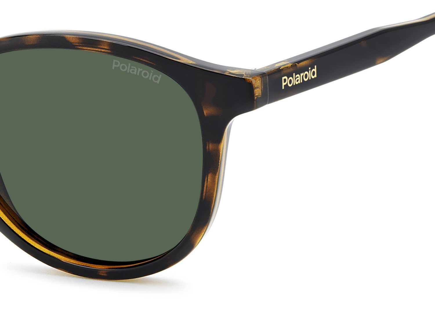 Sunglasses Polaroid Pld 4191/S 208290 086 UC color havana shape pantos lenses green polarized