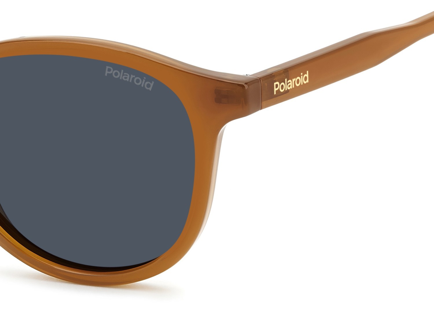 Sunglasses Polaroid Pld 4191/S 208290 FMP C3 color ochre shape pantos lenses blue polarized