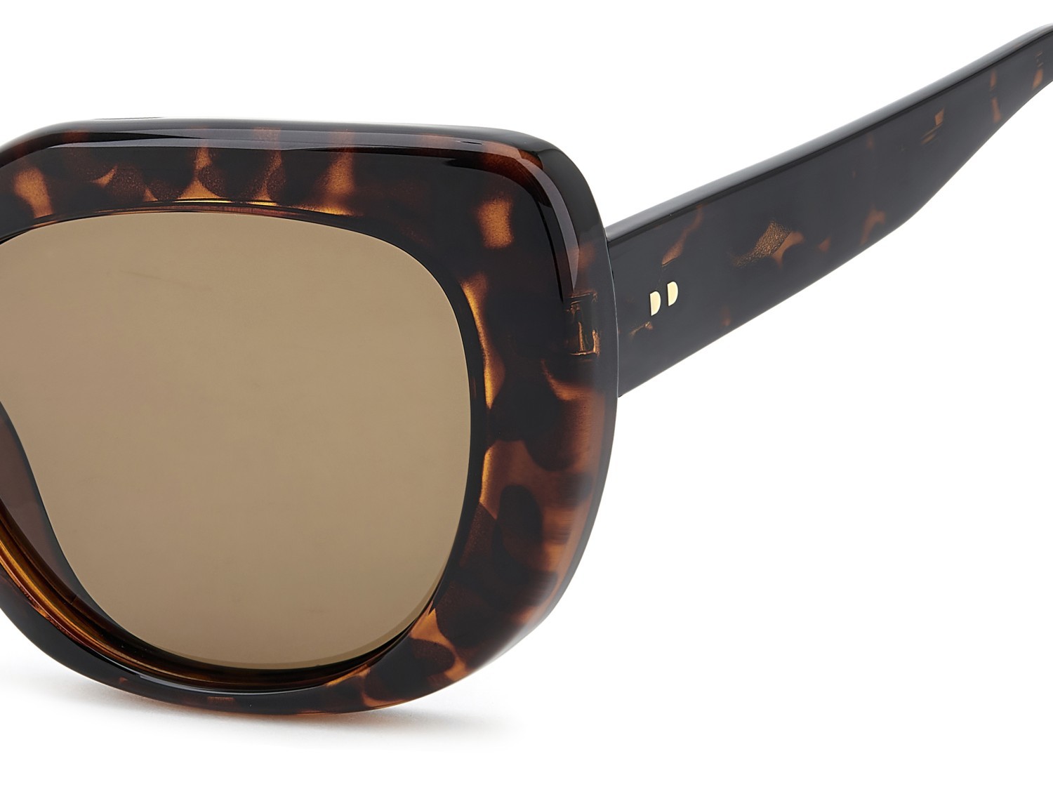 Sunglasses Privé Revaux Pleaser/G 208454 086 SP color havana shape square lenses bronze polarized