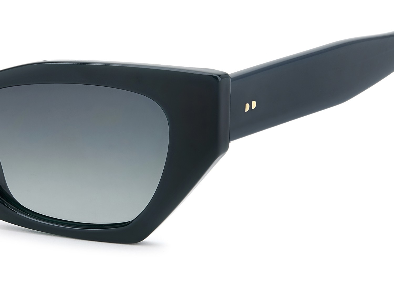 Sunglasses Privé Revaux Backseat/G 208455 1ED LB color green shape rectangle lenses green shaded polarized