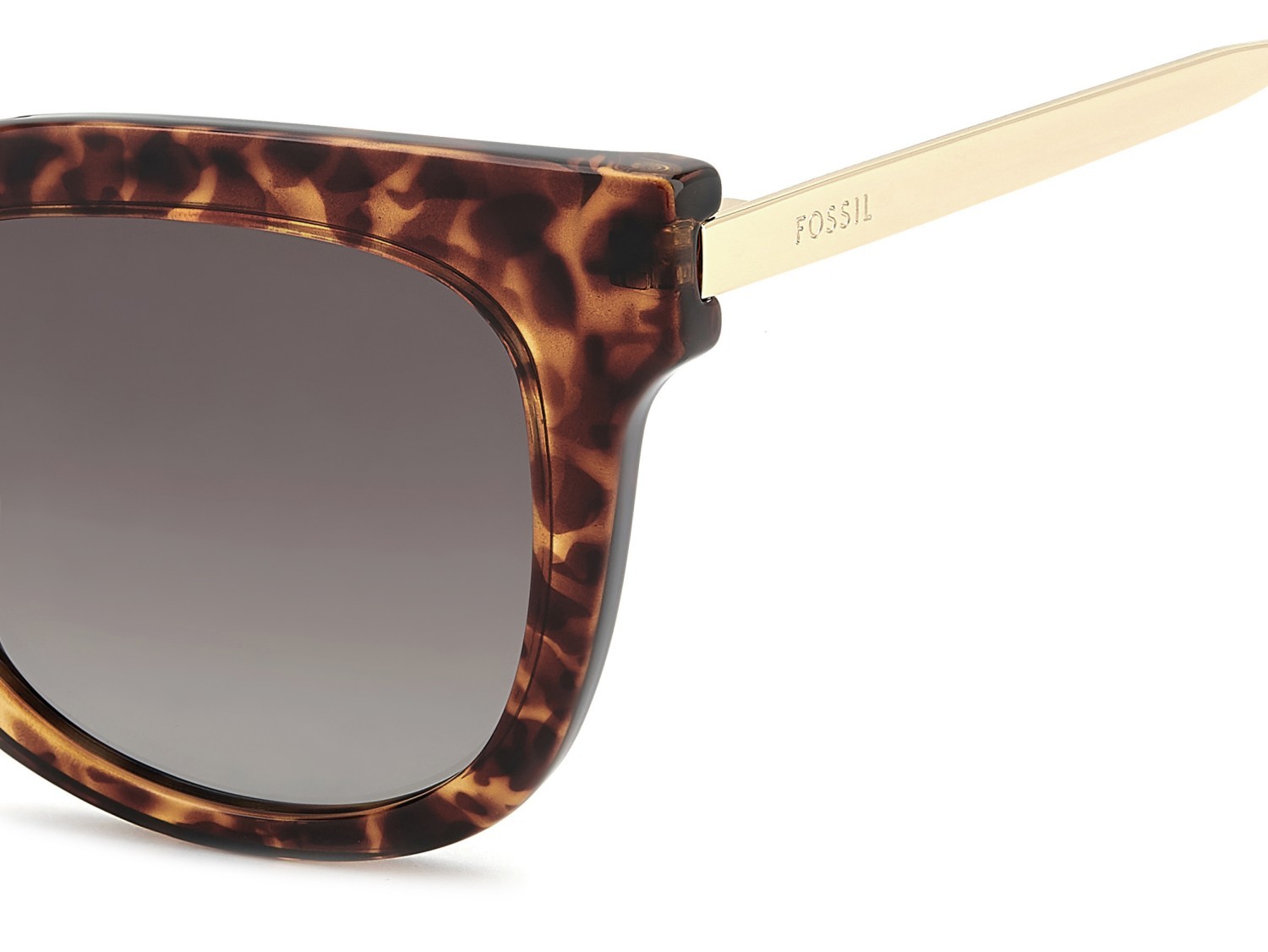 Sunglasses Fossil Fos 2169/G 208593 086 HA color havana shape cat eye lenses brown shaded