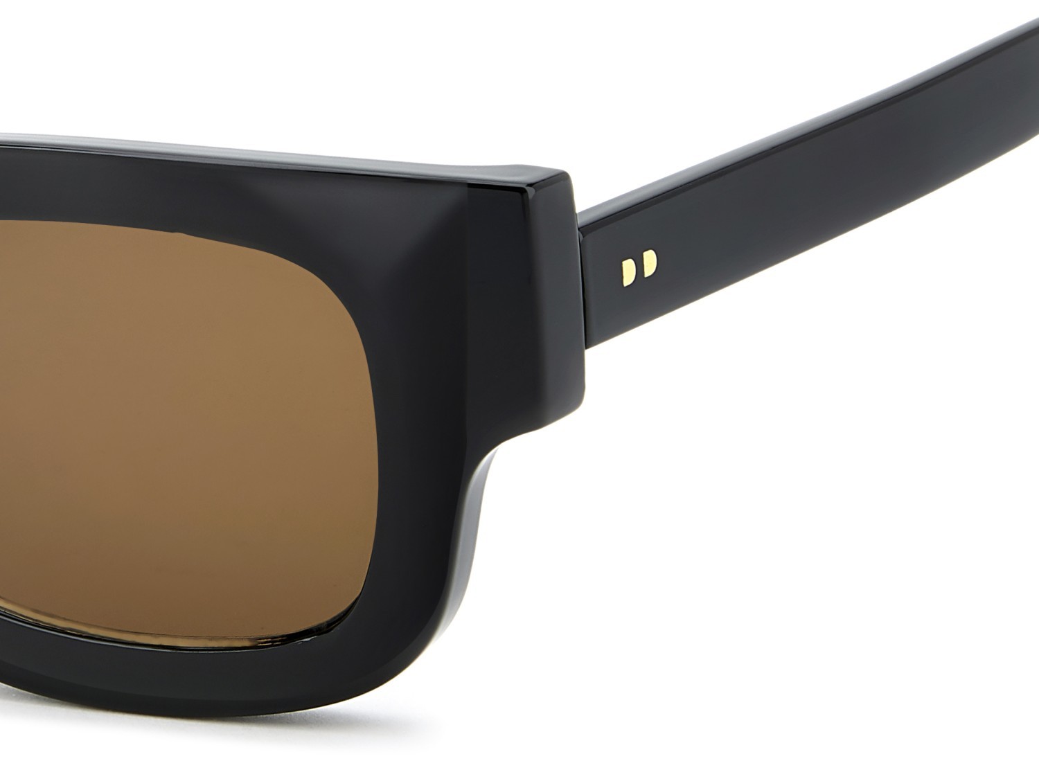 Sunglasses Privé Revaux Pr3006/G 208922 807 70 color black shape rectangle lenses brown