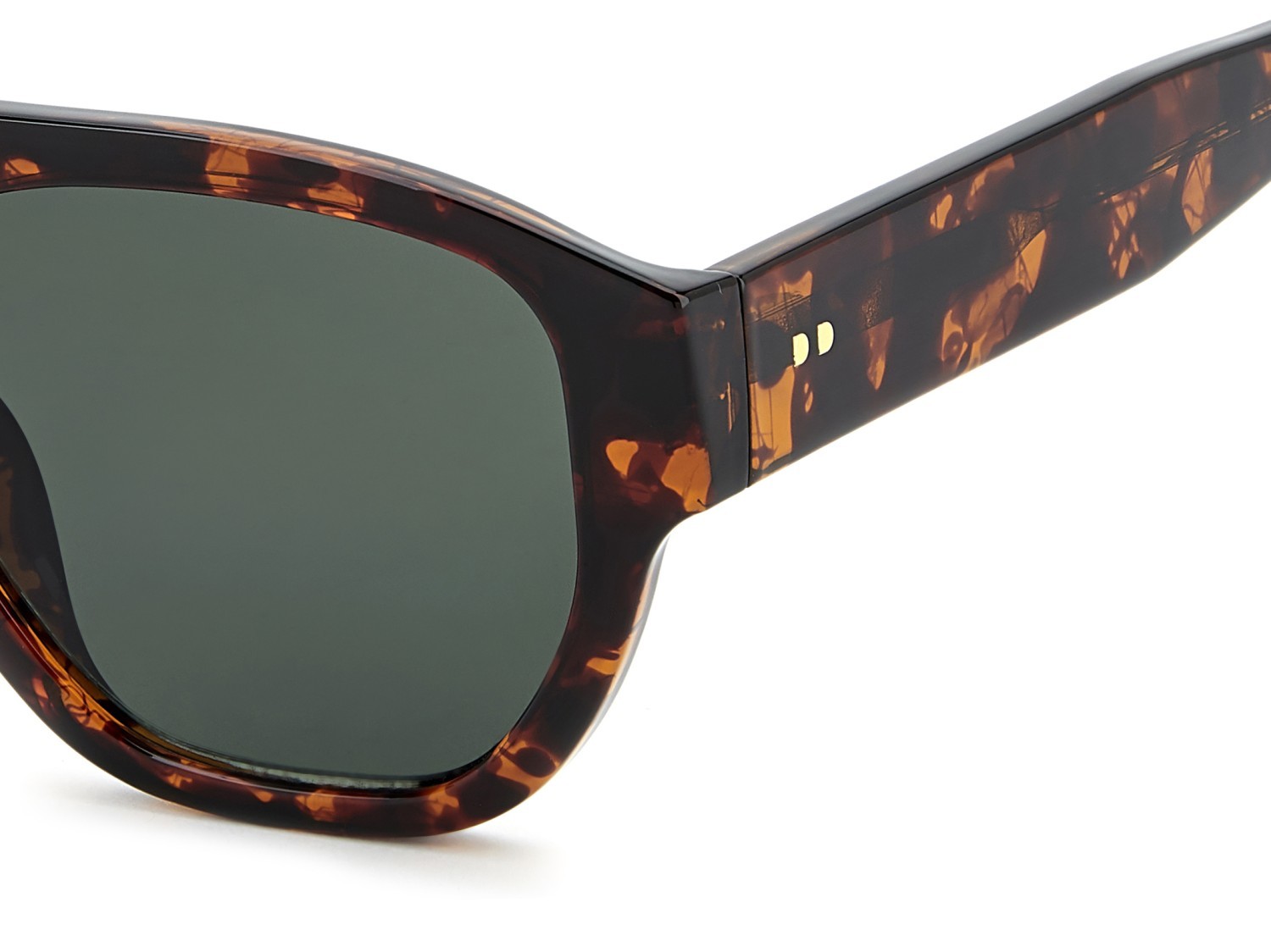Sunglasses Privé Revaux Pr3011/G 208932 086 QT color havana shape rectangle lenses green